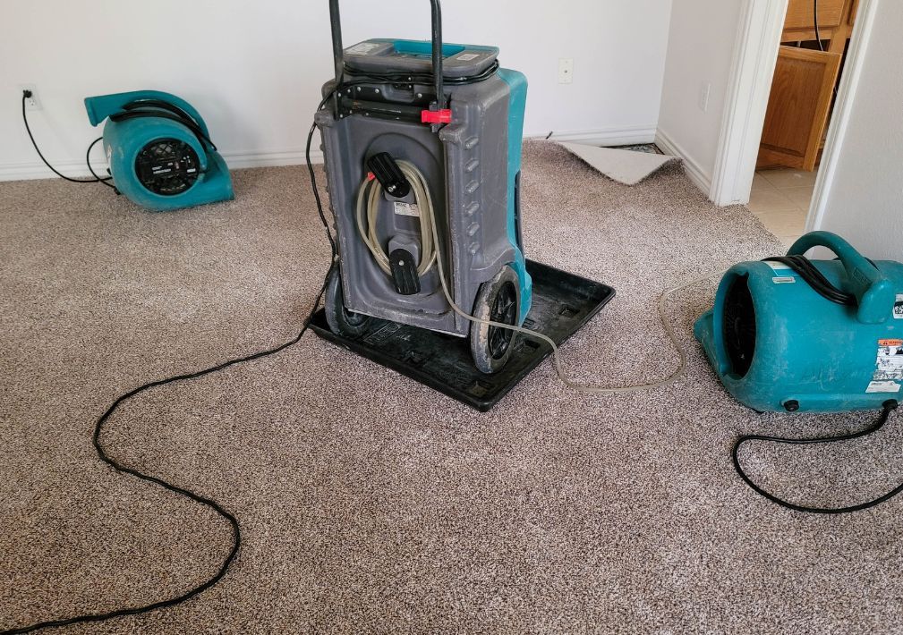 What Is The Average Cost Of Water Damage Restoration In Schertz