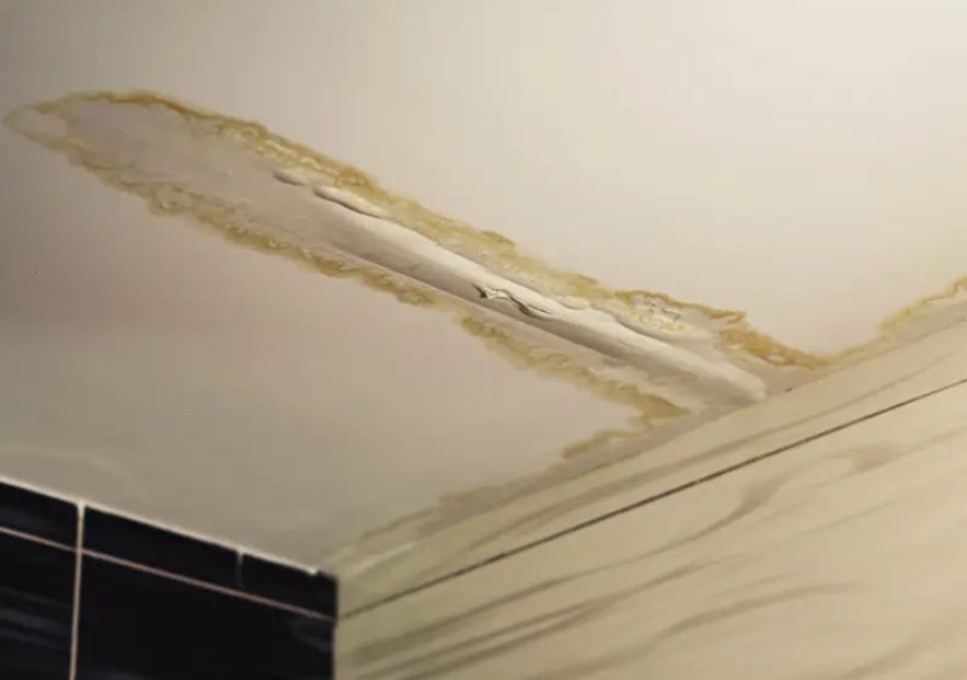 What Is The Average Cost Of Storm Damage Restoration In Bulverde Tx