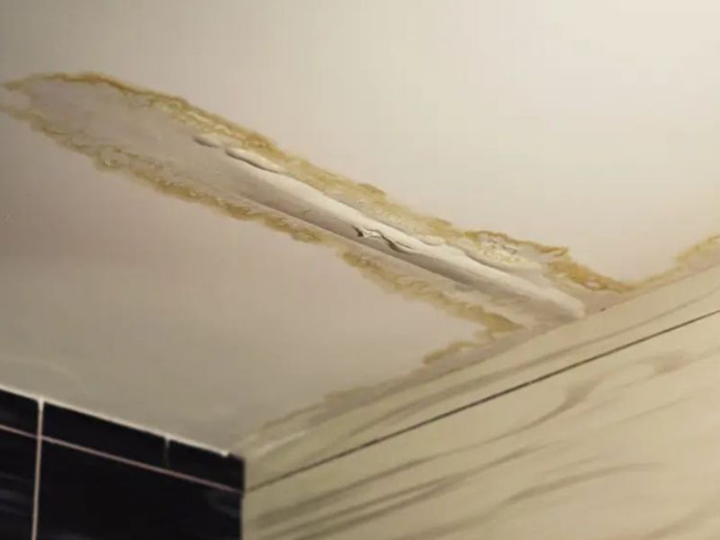 What Is The Average Cost Of Storm Damage Restoration In Bulverde Tx