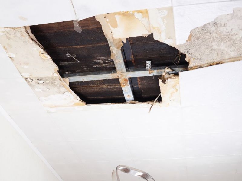 What Is The Average Cost Of Water Damage Restoration In Garden Ridge Tx