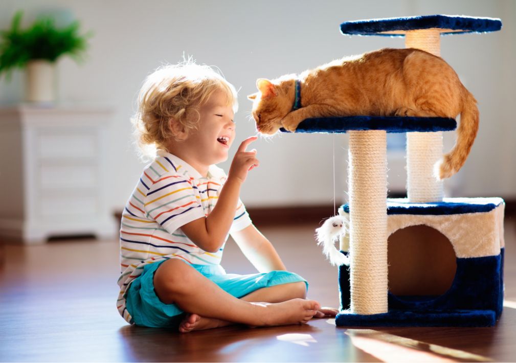 What Is The Average Cost Of Odor Removal In Universal City Tx