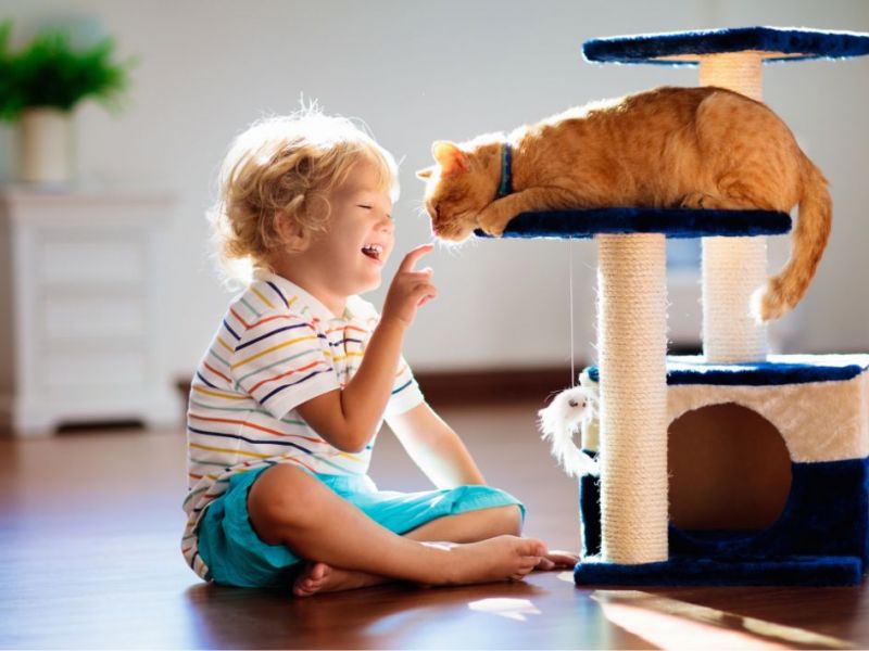 What Is The Average Cost Of Odor Removal In Universal City Tx