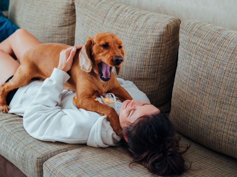 What Is The Average Cost Of Odor Removal In Wesley Chapel