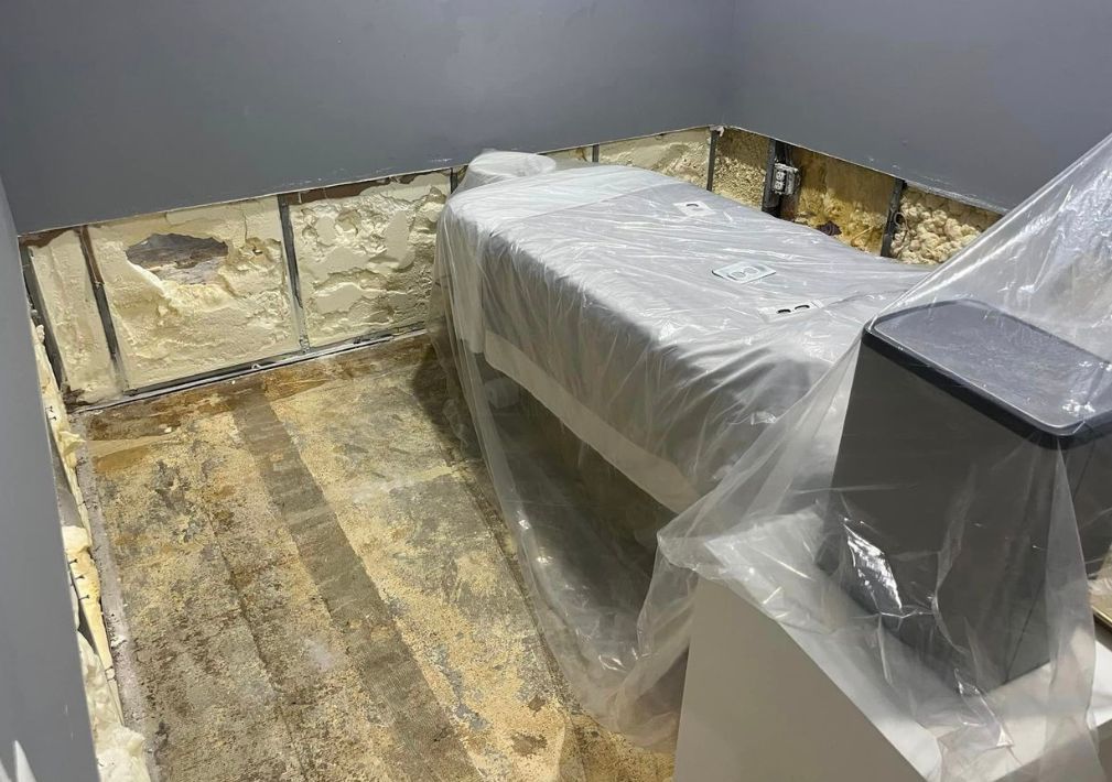 What Is The Average Cost Of Mold Remediation In New Port Richey