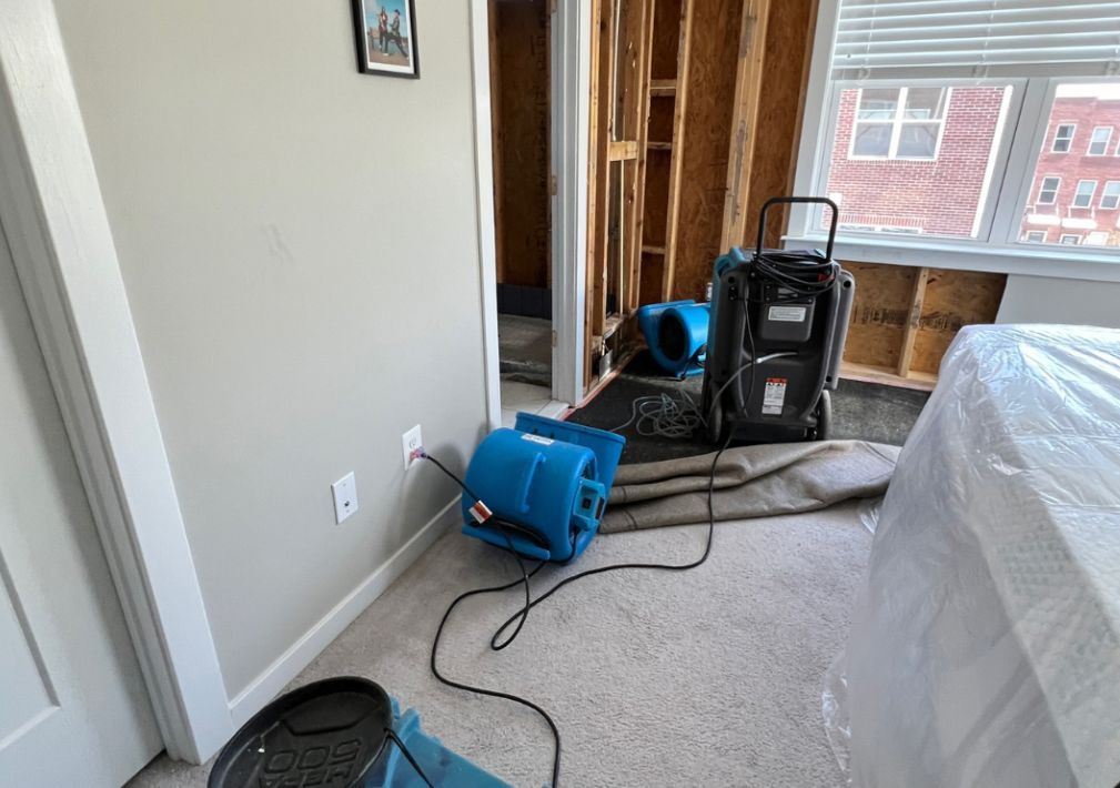 What Is The Average Cost Of Water Damage Restoration In Lutz Fl