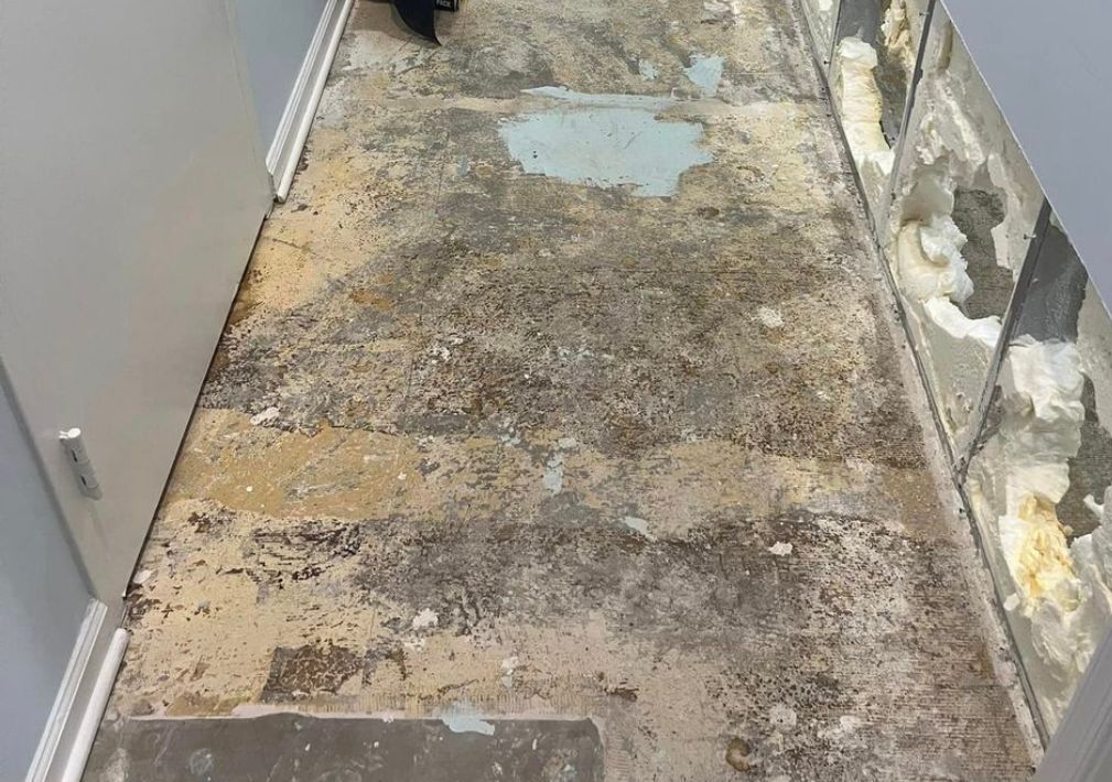What Is The Average Cost Of Water Damage Restoration In Port Richey