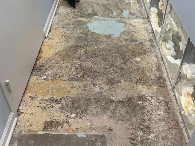 What Is The Average Cost Of Water Damage Restoration In Port Richey