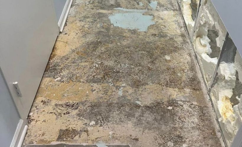 What Is The Average Cost Of Water Damage Restoration In Land O Lakes