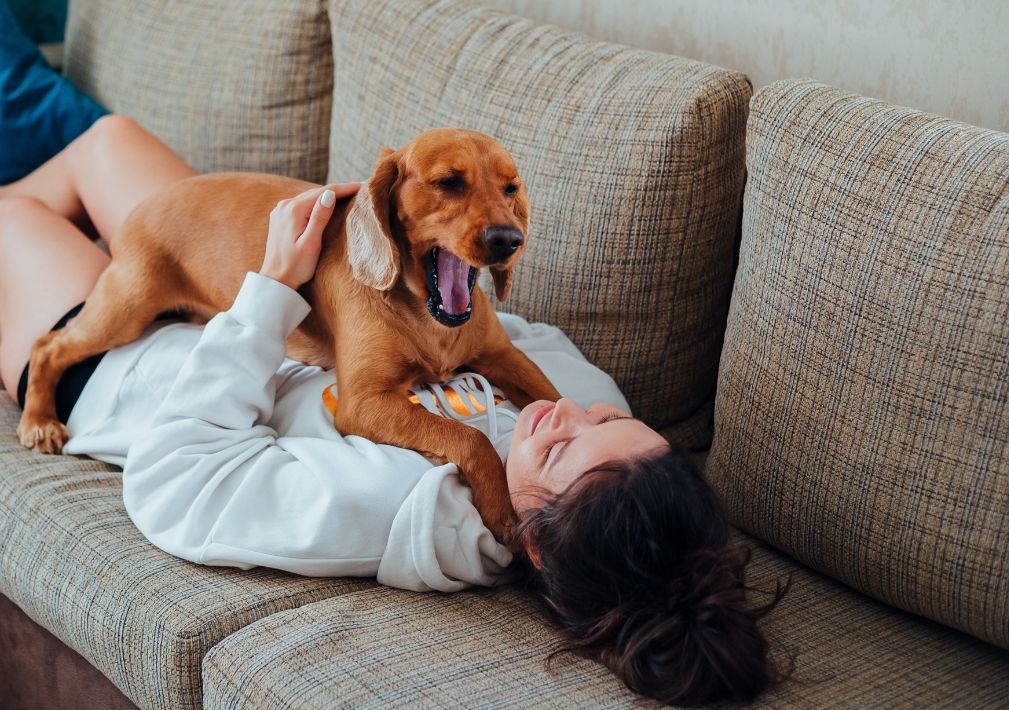 What Is The Average Cost Of Odor Removal In Wesley Chapel