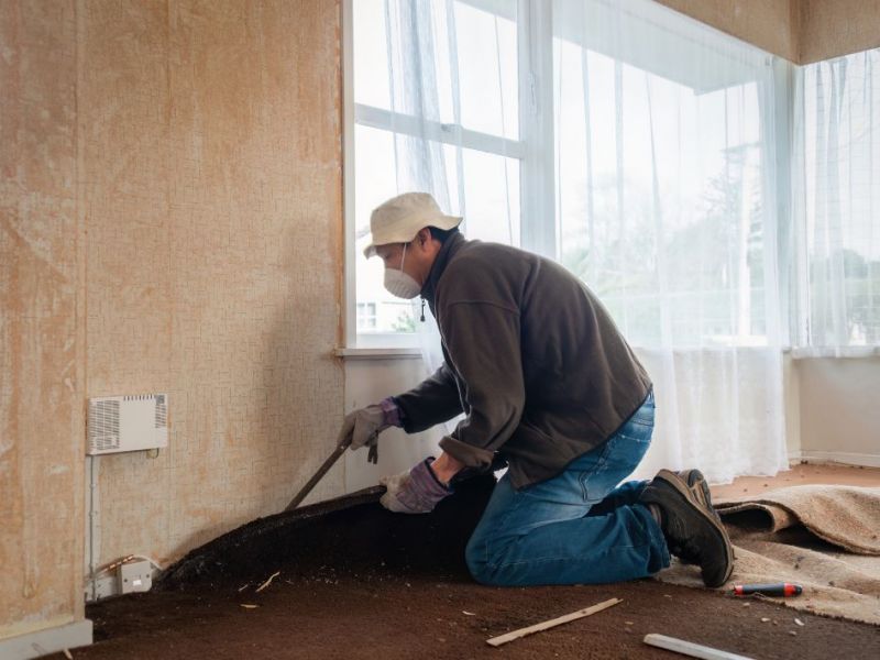 What Is The Average Cost Of Storm Damage Restoration In Land O Lakes