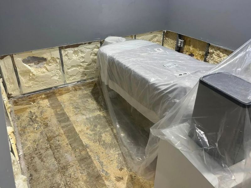 What Is The Average Cost Of Mold Remediation In New Port Richey