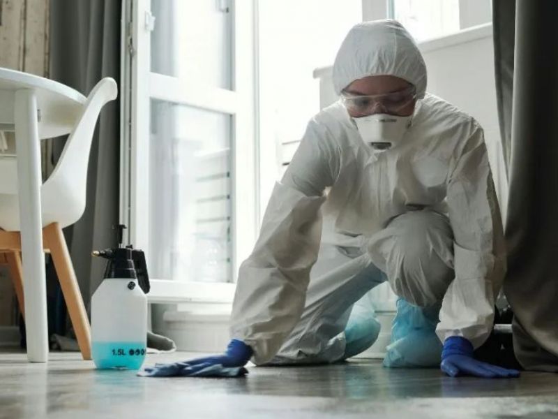 What Is The Average Cost Of Biohazard Cleanup In Hudson Fl