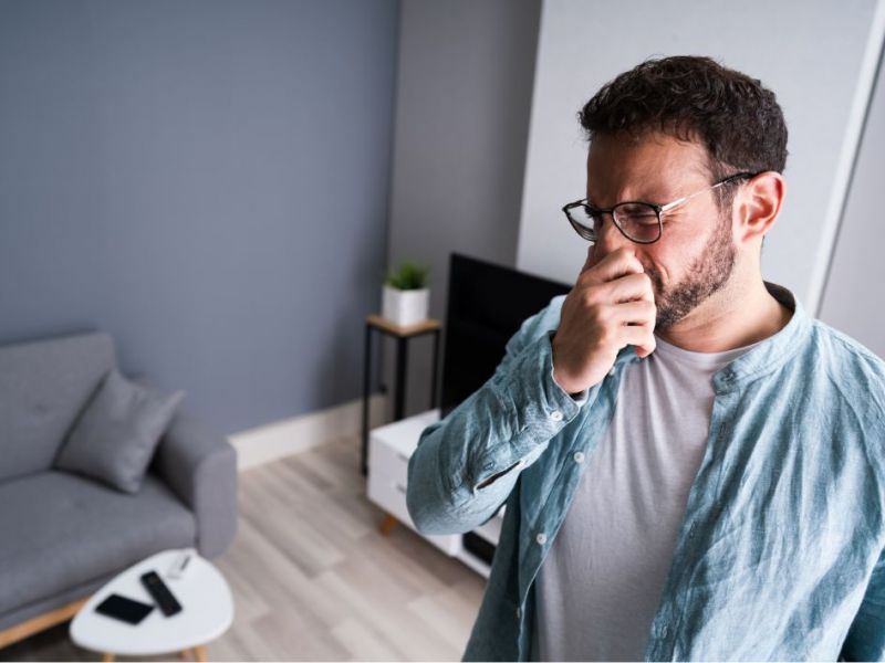 What Is The Average Cost Of Odor Removal In Little Elm Tx