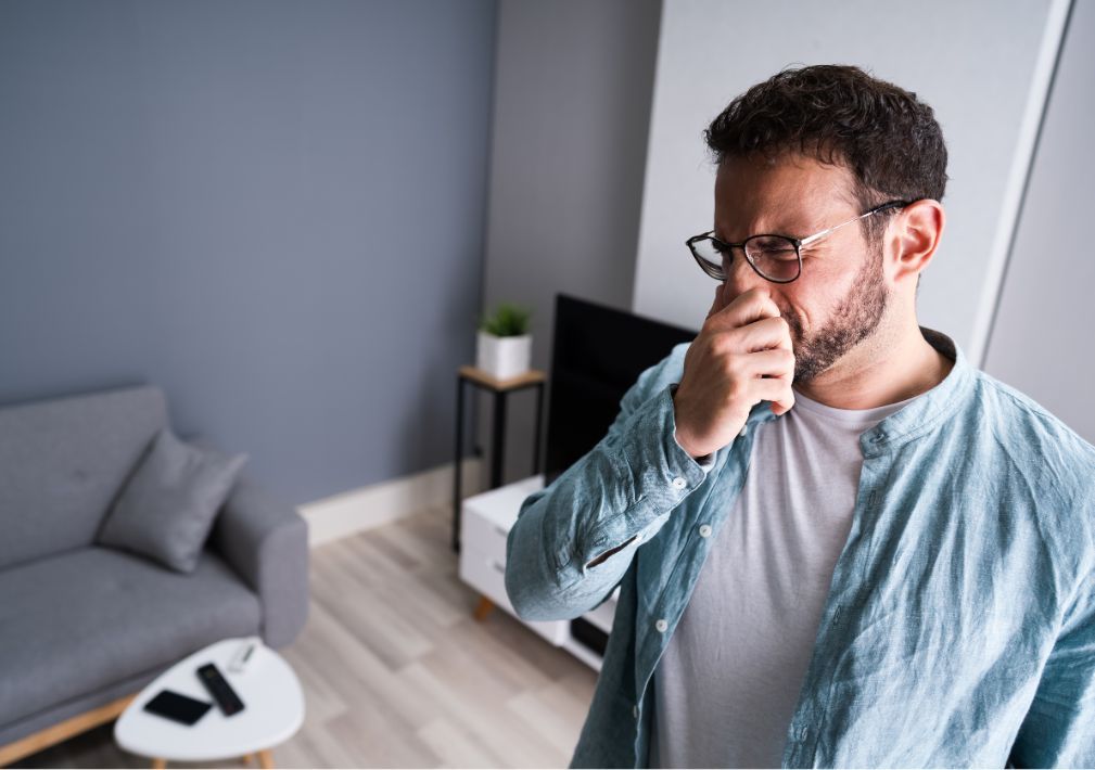 What Is The Average Cost Of Odor Removal In Little Elm Tx
