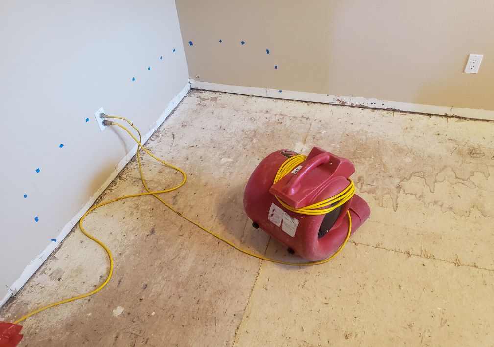 What Is The Average Cost Of Water Damage Restoration In Wylie Tx