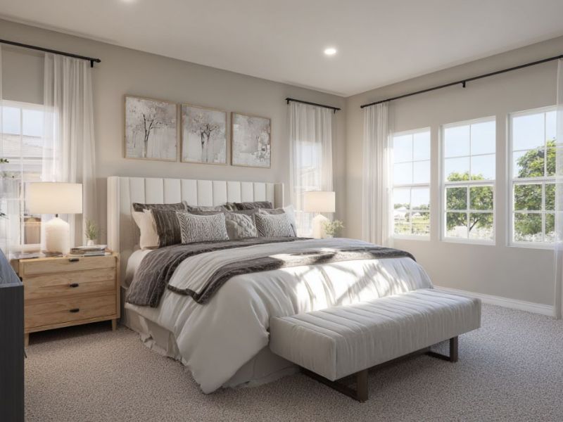 What Is The Average Cost Of Carpet Cleaning In Somerville Nj