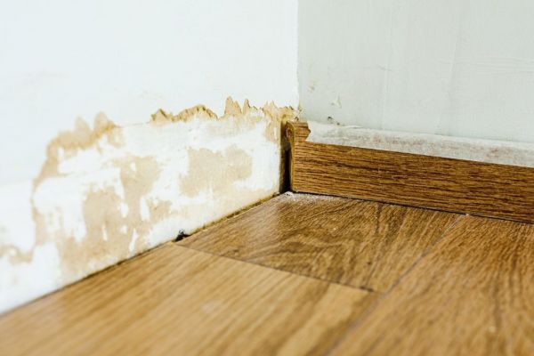 What Are The Top Signs Of Water Damage In Adairsville