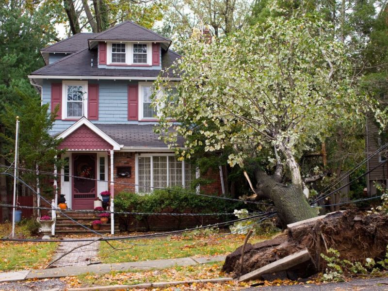 What Is The Average Cost Of Storm Damage Restoration In Lindale