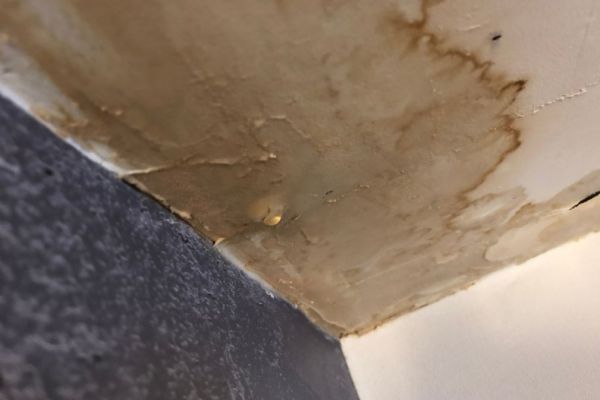 What Is The Average Cost Of Water Damage Restoration In Calhoun