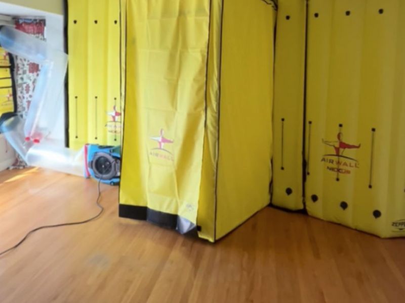 What Is The Average Cost Of Mold Remediation In Rome Ga