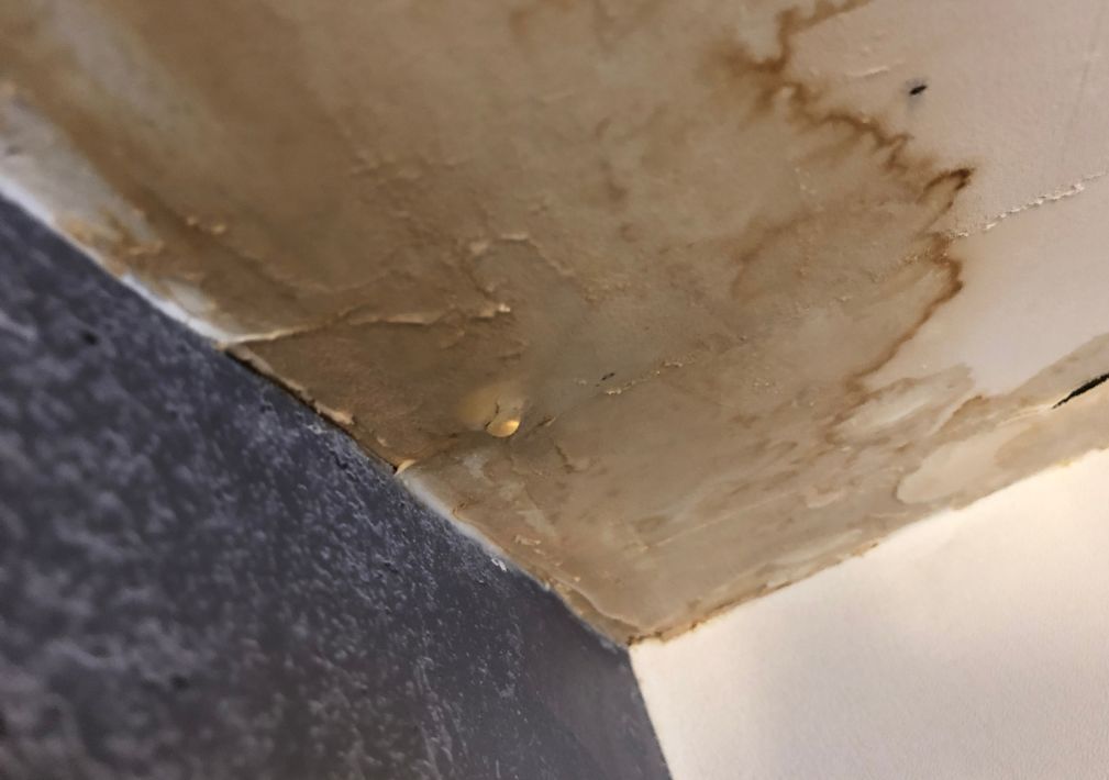 What Is The Average Cost Of Water Damage Restoration In Calhoun
