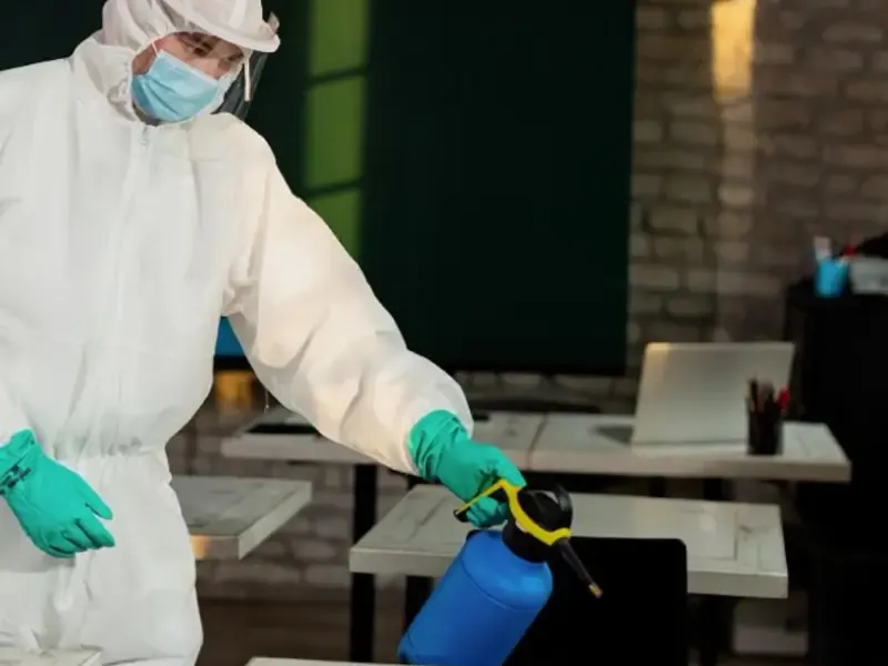 What Is The Average Cost Of Odor Removal In Cartersville Ga