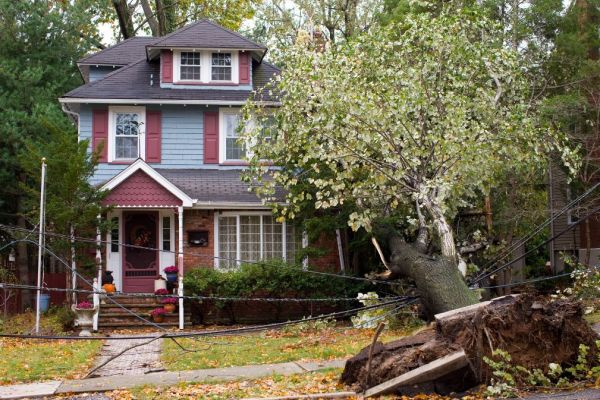 What Is The Average Cost Of Storm Damage Restoration In Lindale