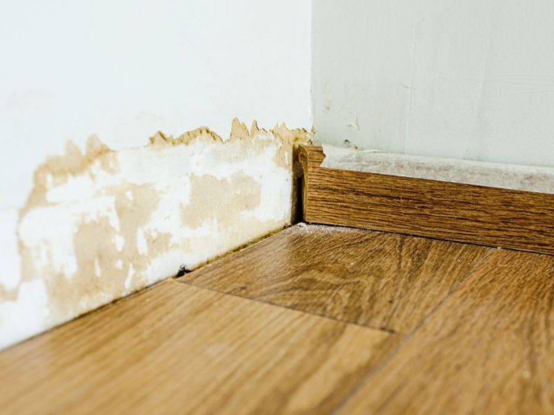 What Are The Top Signs Of Water Damage In Adairsville