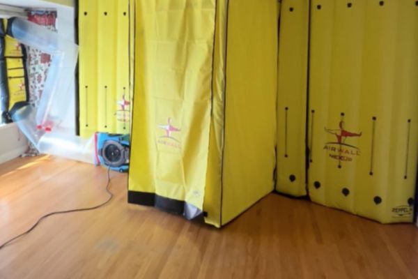 What Is The Average Cost Of Mold Remediation In Rome Ga