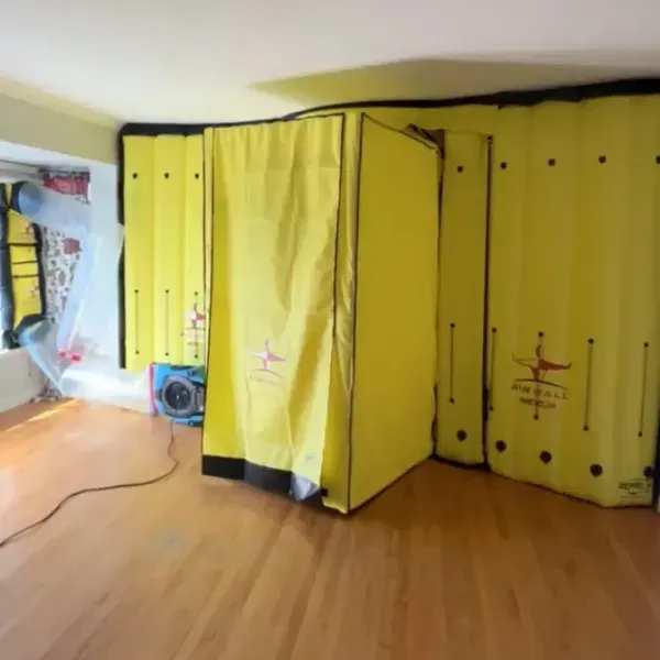 Expert Commercial Mold Remediation Near Me