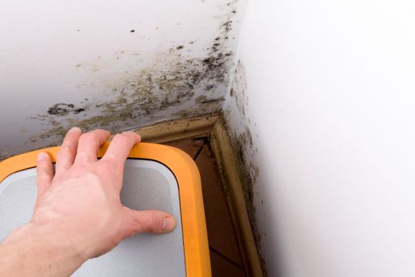 What Are The Health Risks Of Mold Exposure In Adairsville