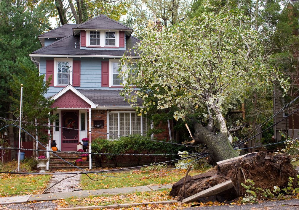 What Is The Average Cost Of Storm Damage Restoration In Lindale