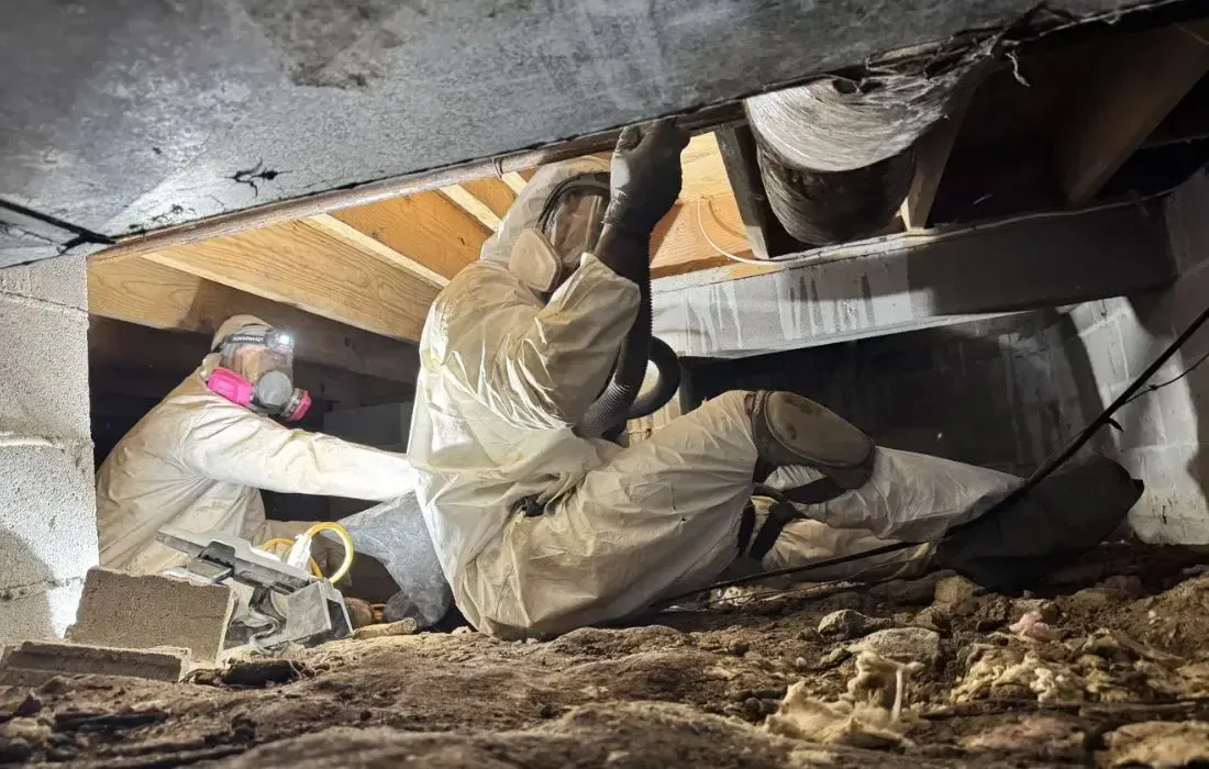 Crawl Space Mold Remediation Services In Calhoun Ga