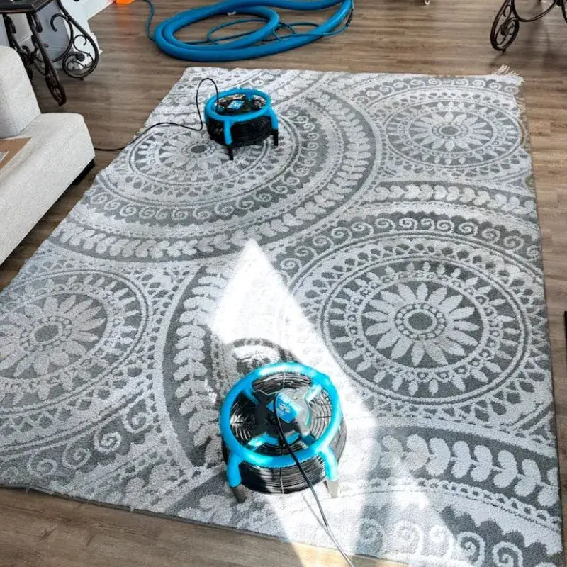 Expert Rug Cleaning Services
