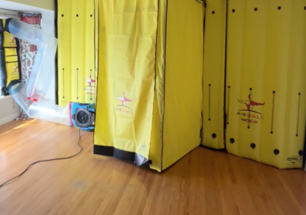 What Is The Average Cost Of Mold Remediation In Rome Ga