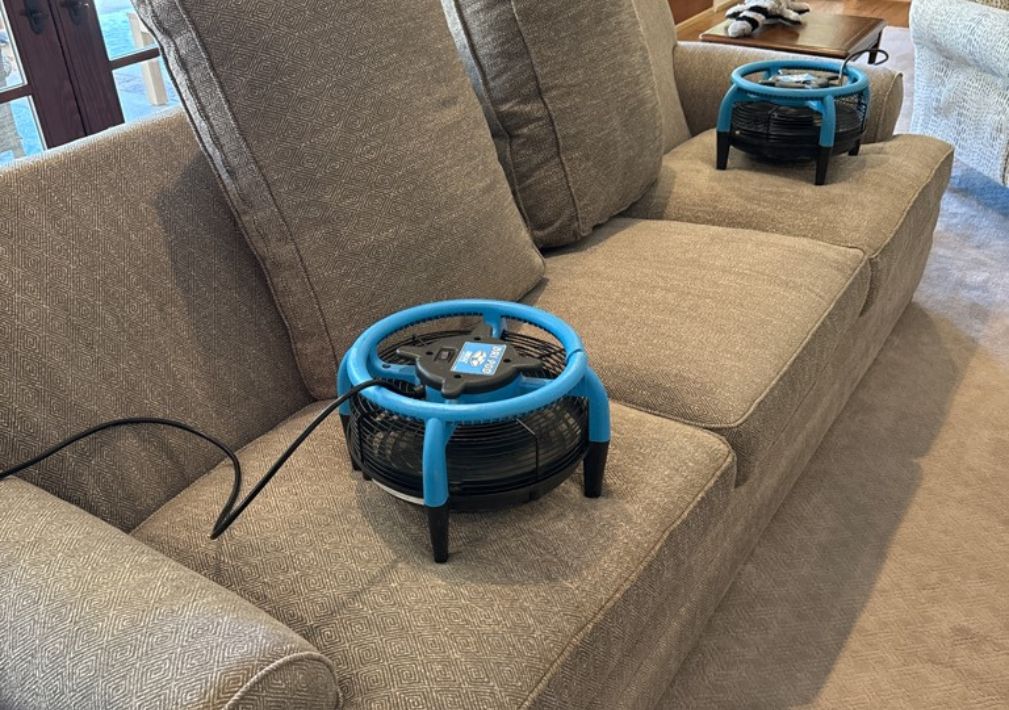 What Is The Average Cost Of Upholstery Cleaning In Rome Ga