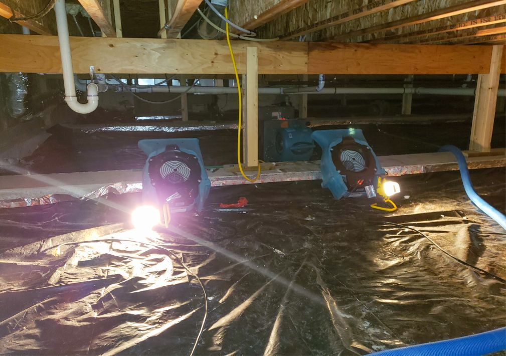 What Is The Average Cost Of Water Damage Restoration In Dyer In