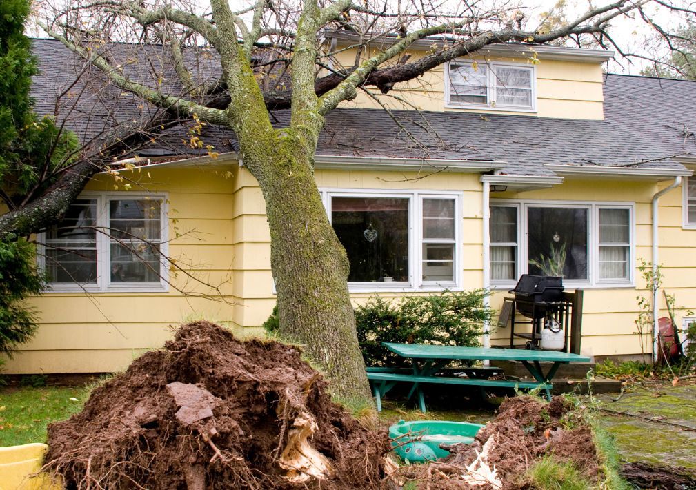 What Is The Average Cost Of Storm Damage Restoration In Griffith In
