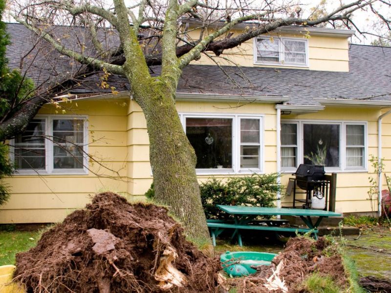 What Is The Average Cost Of Storm Damage Restoration In Griffith In