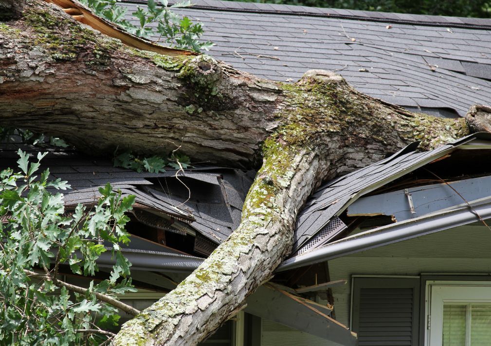 What Is The Average Cost Of Storm Damage Restoration In Farmington
