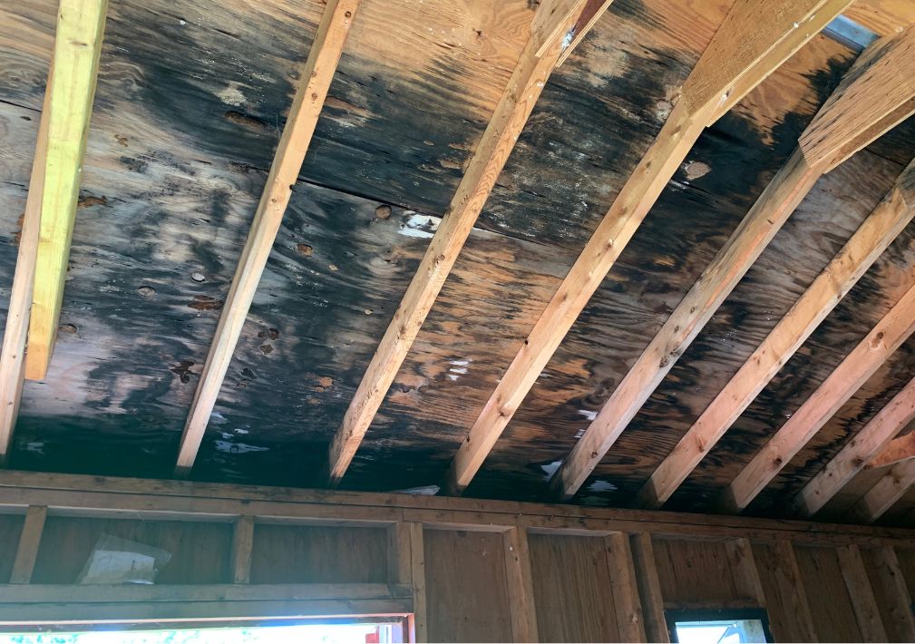 average-cost-of-mold-remediation-in-lowell-ar-voda-cleaning