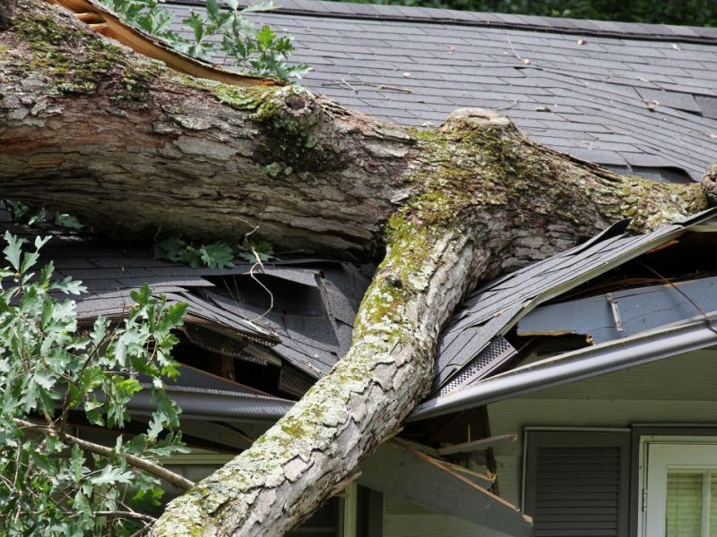 What Is The Average Cost Of Storm Damage Restoration In Farmington