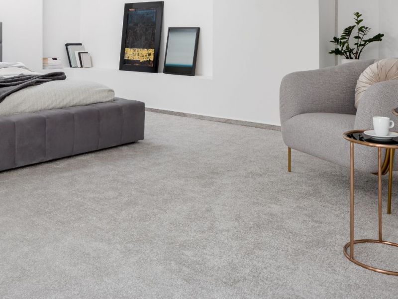What Is The Average Cost Of Carpet Cleaning In Trappe Pa