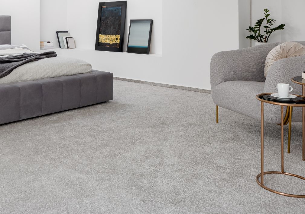 What Is The Average Cost Of Carpet Cleaning In Trappe Pa