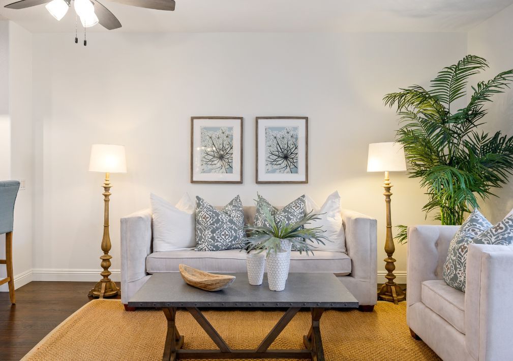 What Is The Average Cost Of Upholstery Cleaning In Aurora Tx