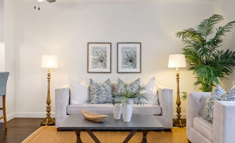 What Is The Average Cost Of Upholstery Cleaning In Aurora Tx