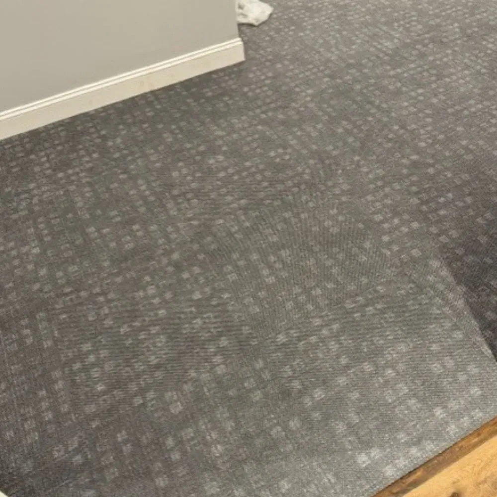 Carpet Cleaning Gallery 2