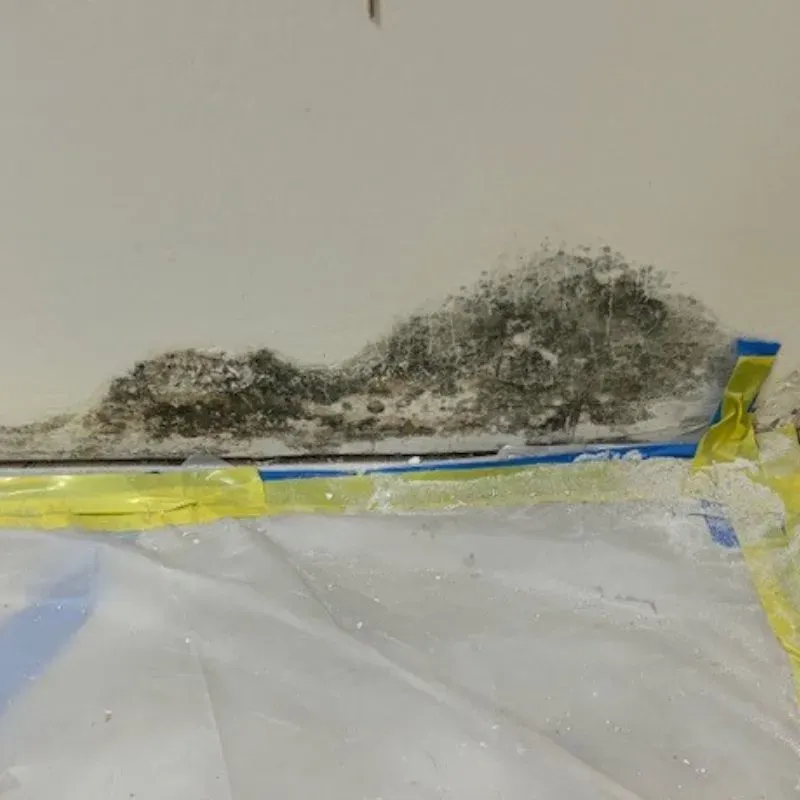 Mold Remediation Services Gallery 3