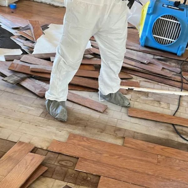 Why Water Damage Floor Repair Needs to Start Right Away