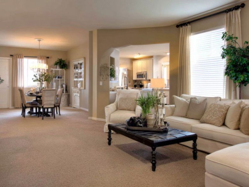 What Is The Average Cost Of Carpet Cleaning In Chandler Az